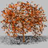 Herbstbaum_1