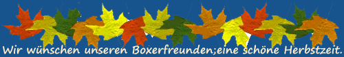 Herbstlinie_4.bgif