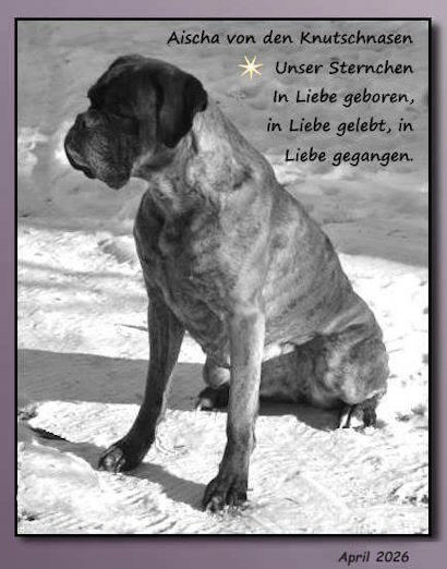 Aischa_Abschied_HP_web
