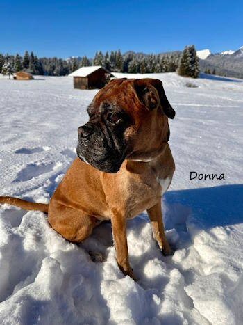 Donna_Abschied2026_web1