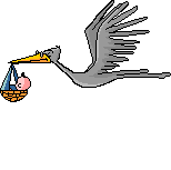 Klapperstorch