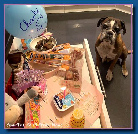 C_Burzel_Charlene1