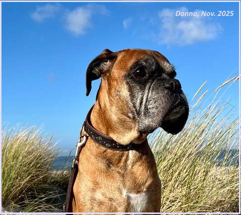 Donna_Urlaub