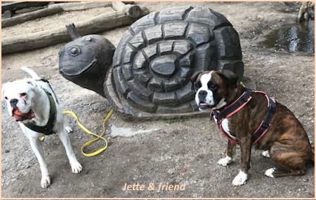 Jette_Juno_mit_friend_24