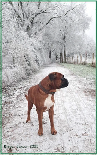 Fedor_Diego_2025_Januar_web