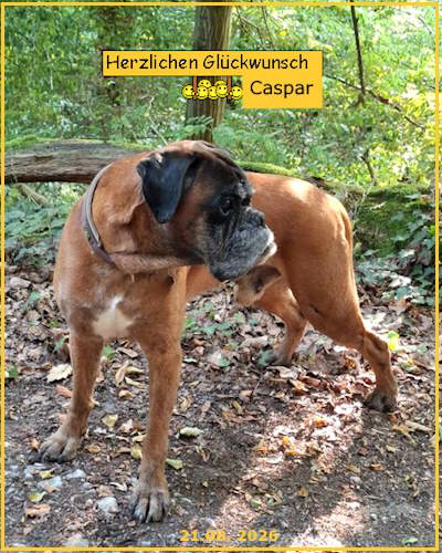 Caspar11