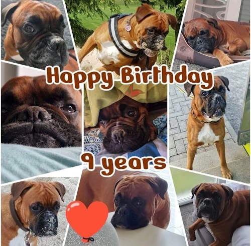 DiegoM�rz2026._1jpg