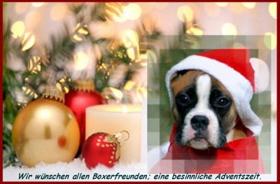 belle_advent_1